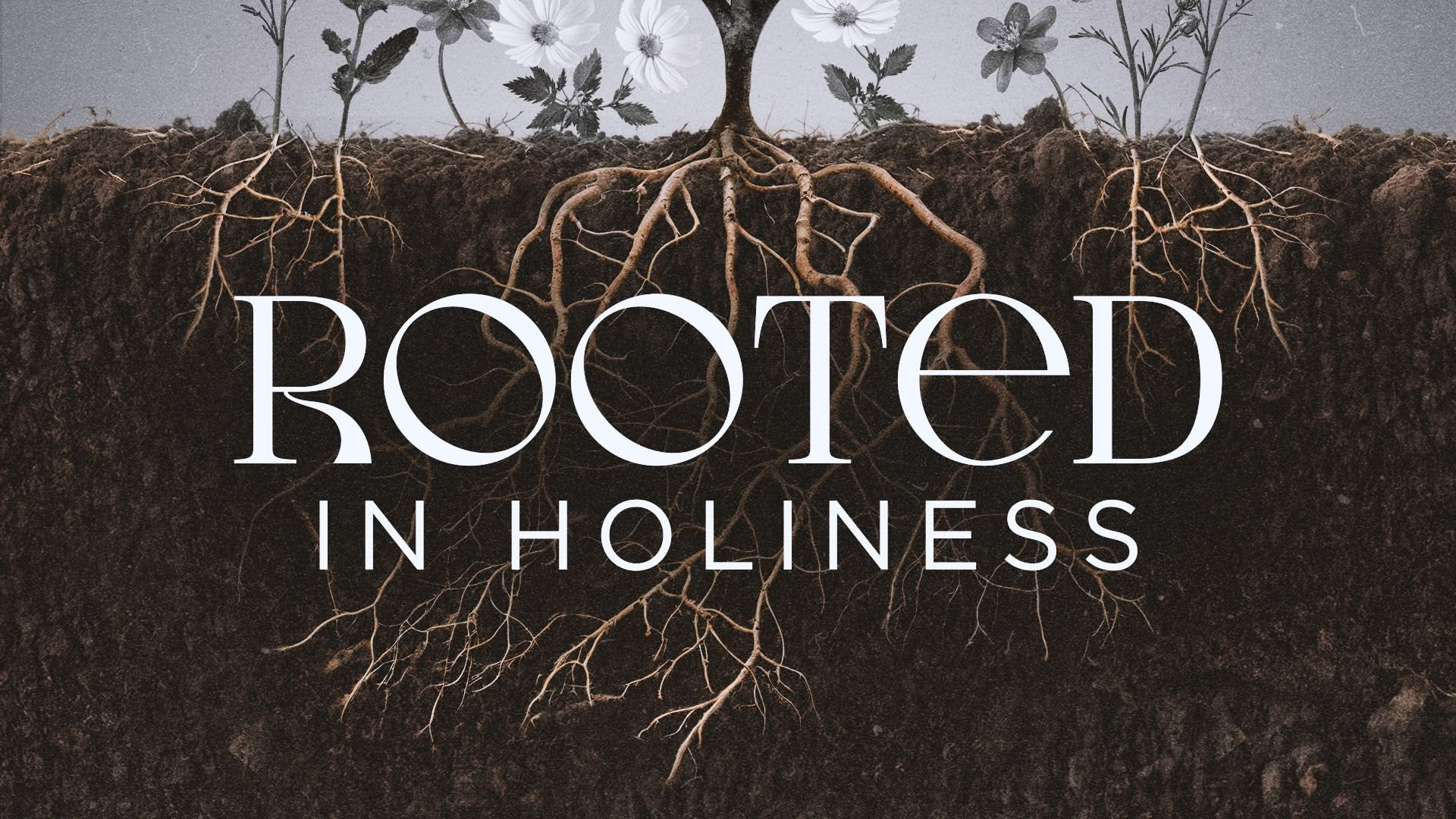 Rooted in Holiness